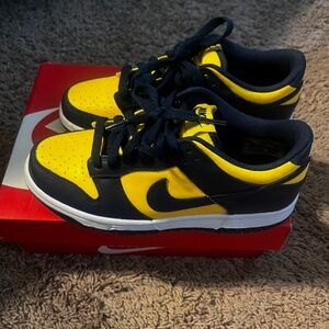 Nike dunks